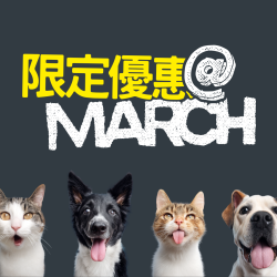 限時三月優惠 HUNTER全線分店開催